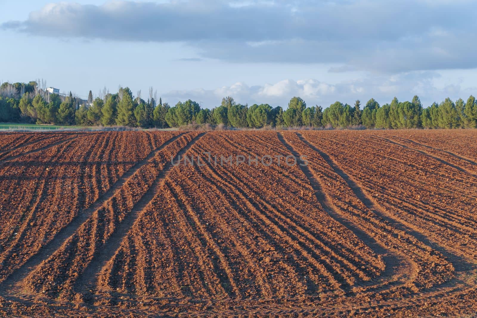 farmland with tractor tracks and a road with trees in the background