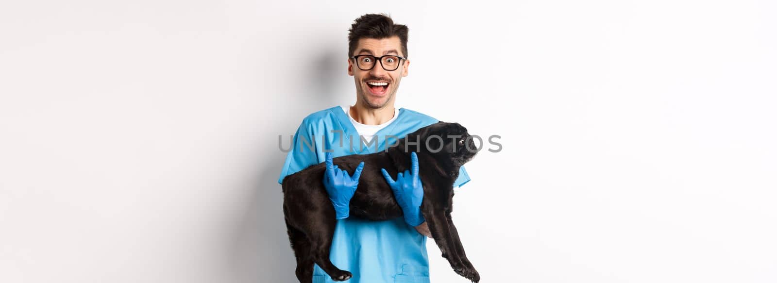 Vet clinic concept. Happy male doctor veterinarian holding cute black pug dog, smiling at camera, showing rock-n-roll gesture, white background by Benzoix