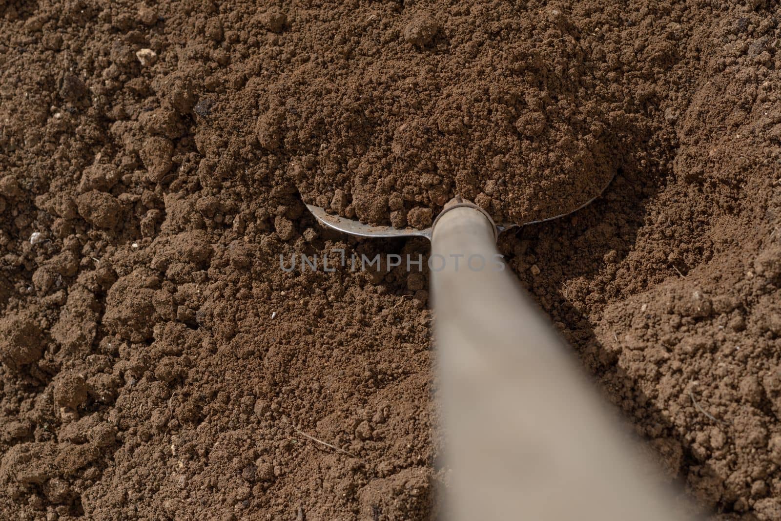 close-up of a shovel digging the soil of a vegetable garden
