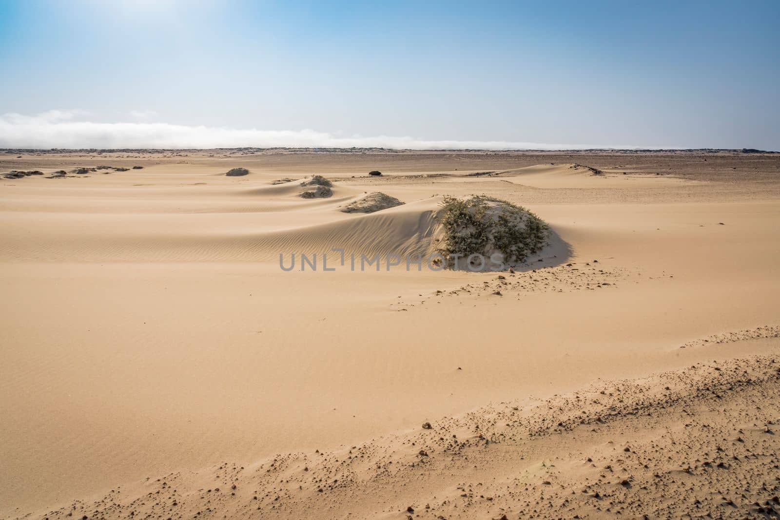 view of the Skeleton Coast desert dunes in Namibia in Africa.