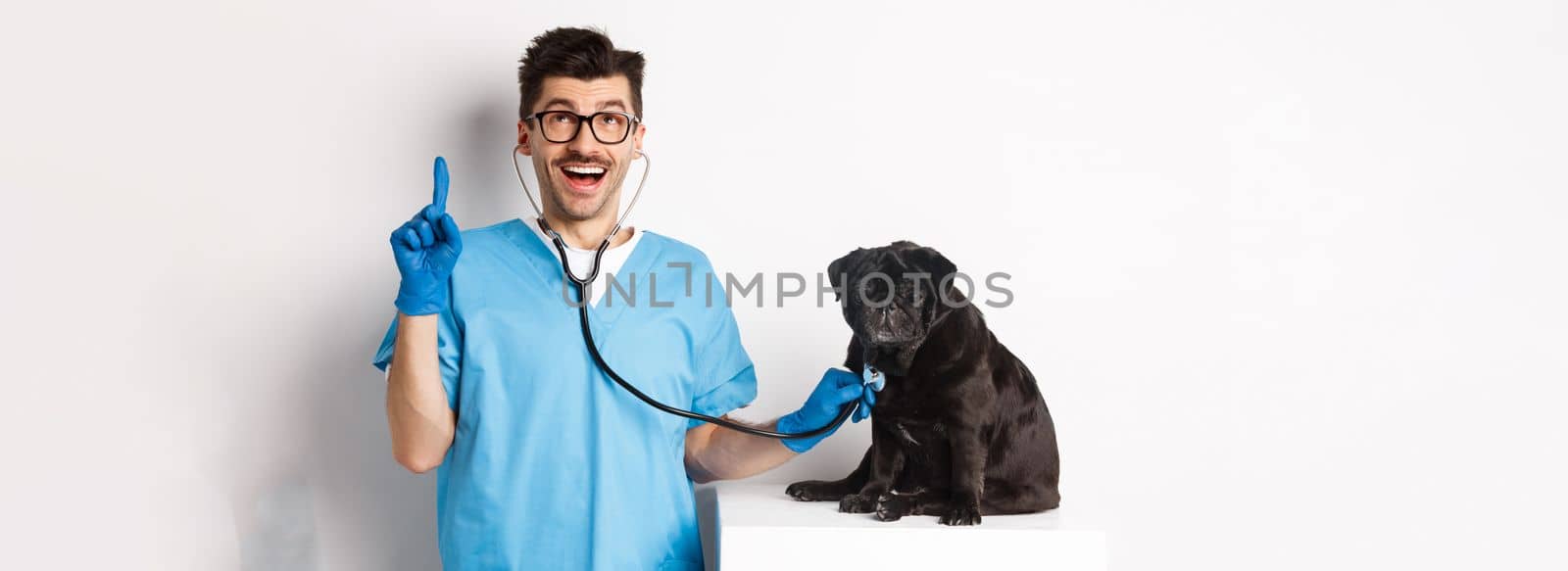 Handsome doctor veterinarian smiling, examining pet in vet clinic, checking pug dog with stethoscope, pointing finger up at promo banner, white background by Benzoix