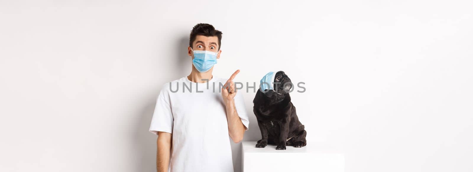 Covid-19, animals and quarantine concept. Dog owner and cute black pug wearing medical masks, man pointing and puppy staring at upper left corner, white background by Benzoix