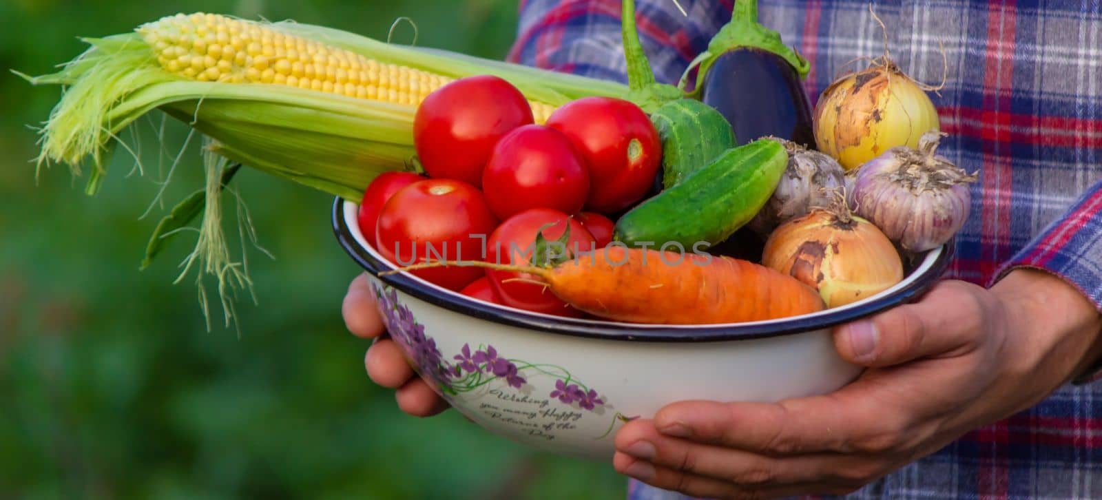 The farmer holds freshly picked vegetables in his hands. Selective focus