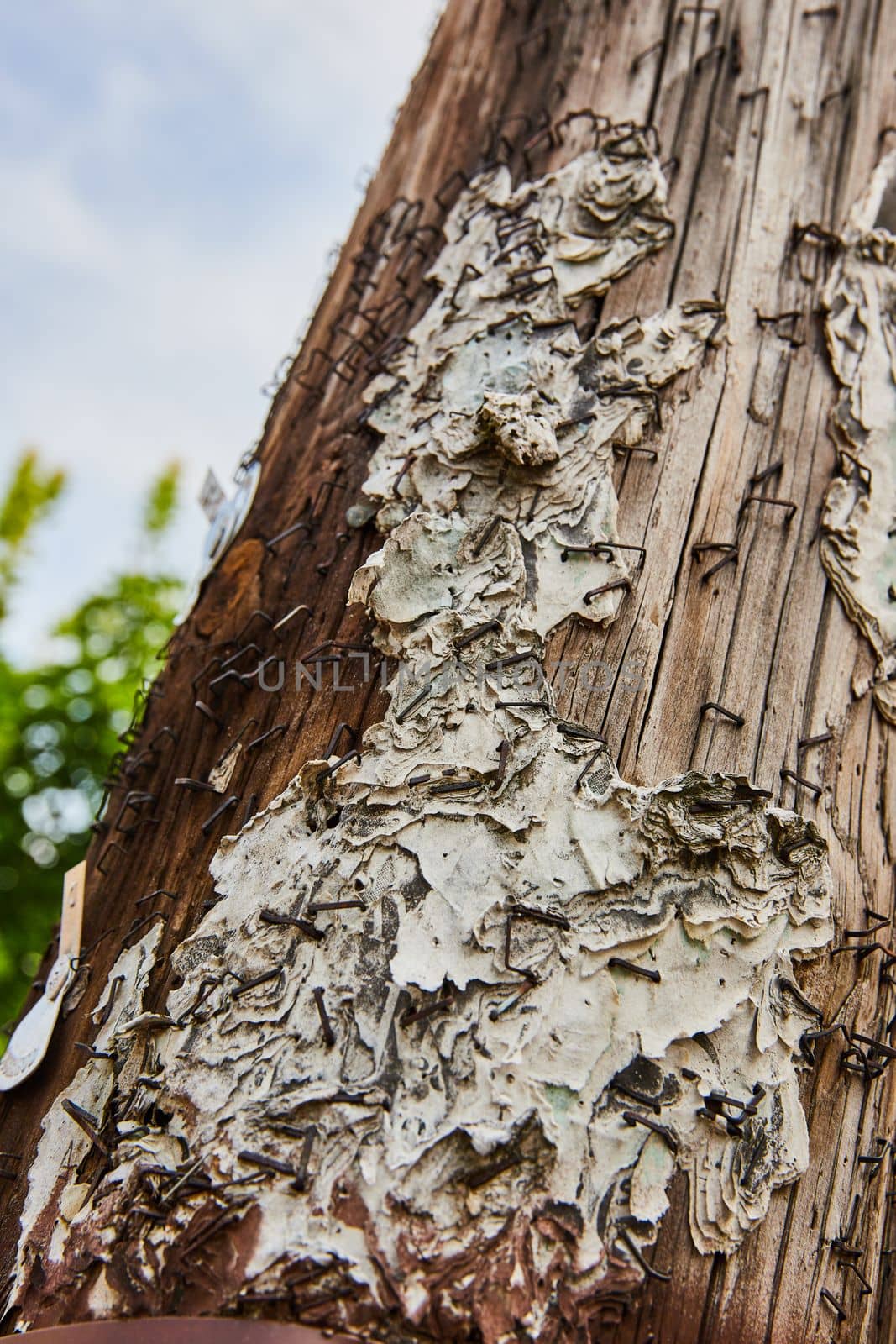 Image of Torn paper and staples cover wood telephone pole