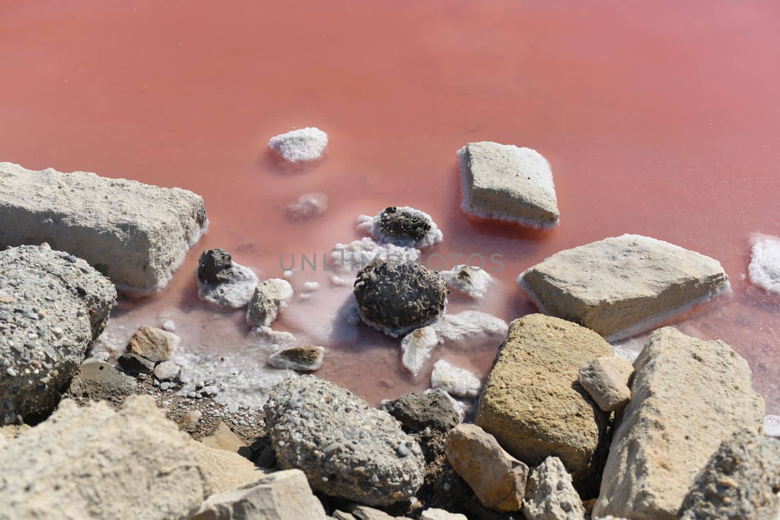 Aigues-Mortes, Salins du Midi salt farm with pink purple salty water