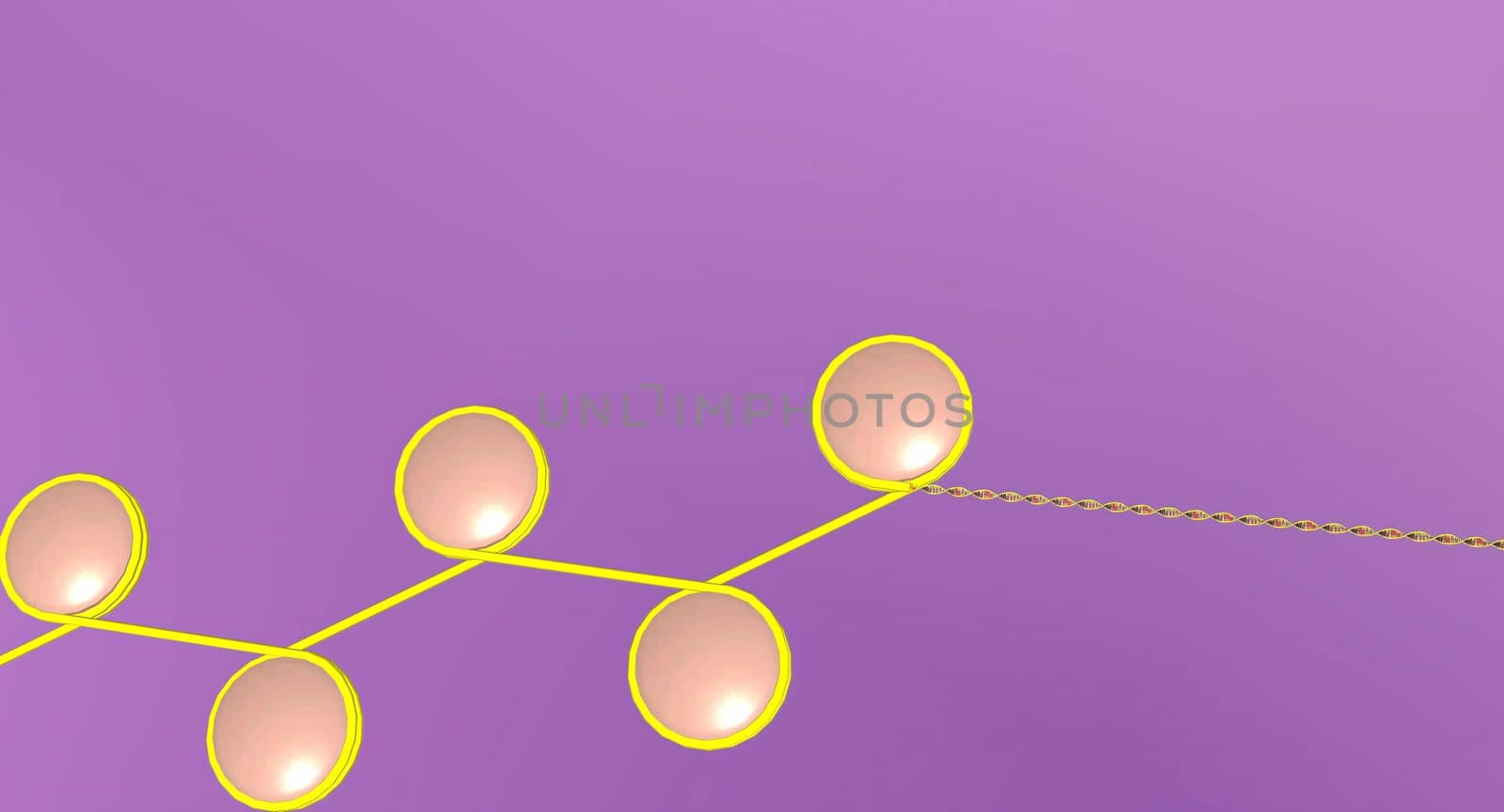 Chromatin is a complex of DNA and protein found in eukaryotic cells by creativepic