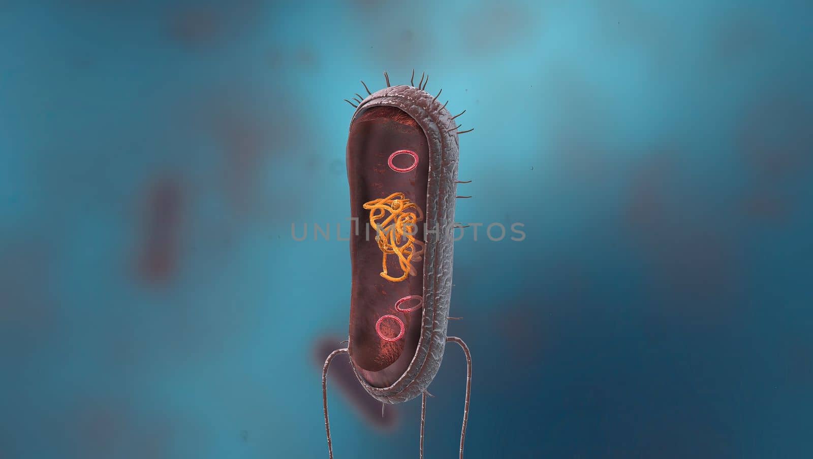 Bacteria are a simple form of life known as prokaryotes. by creativepic