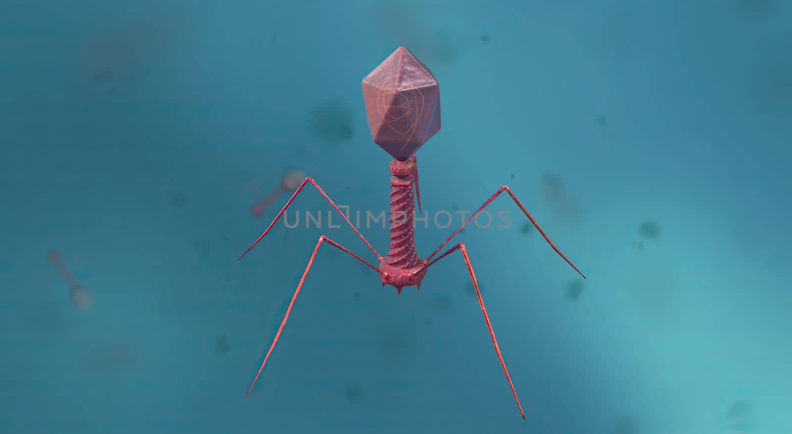 A virus is a submicroscopic infectious agent that replicates only inside the living cells of an organism by creativepic