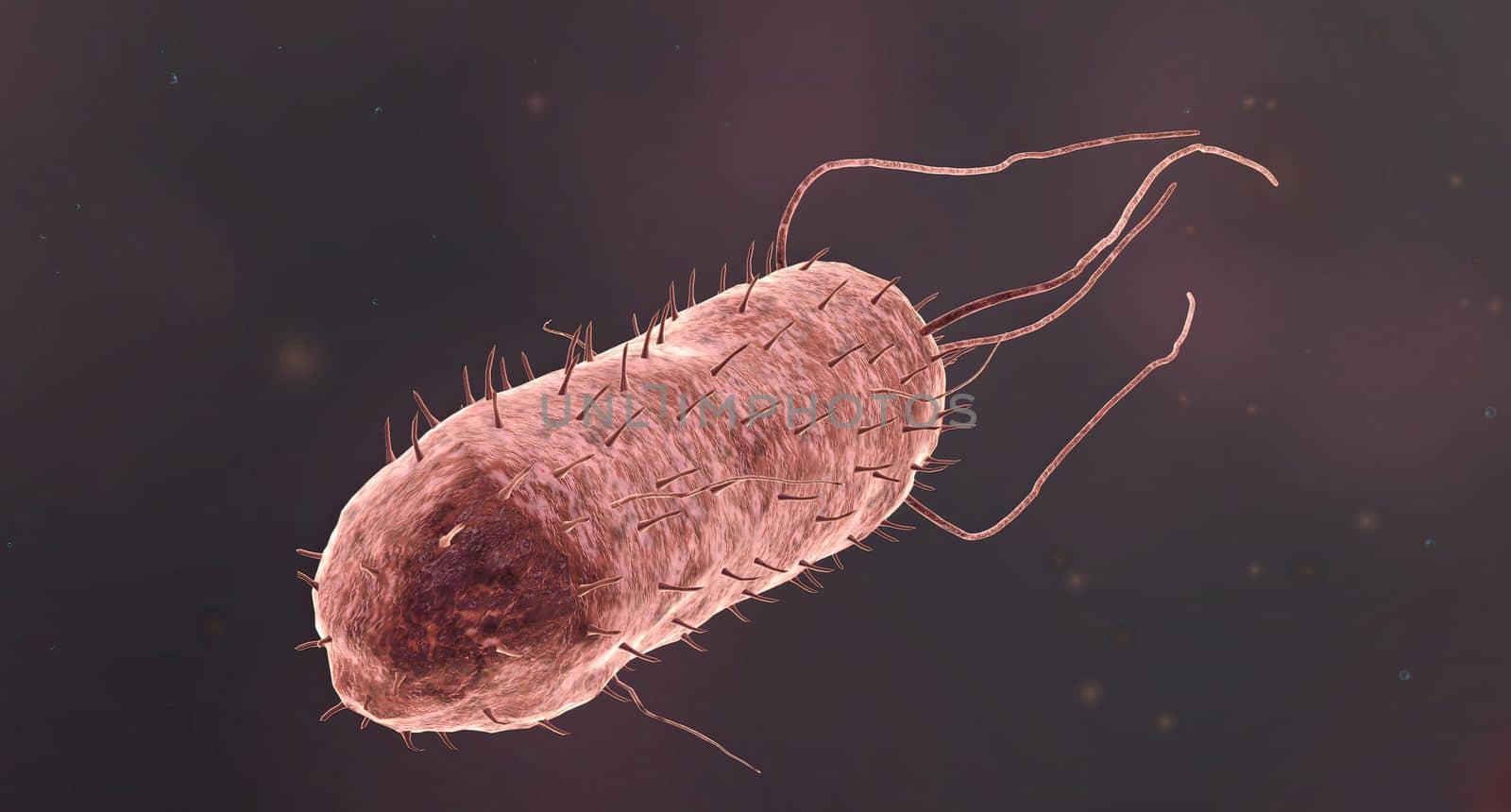 Bacteria are microscopic, single-celled organisms that exist in their millions, in every environment, both inside and outside other organisms. 3D illustration