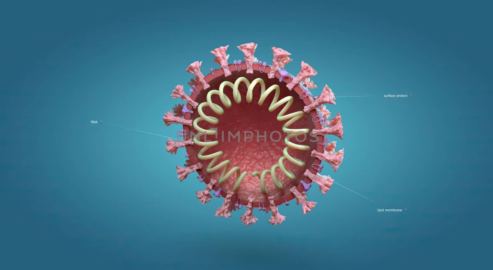 Influenza is a single-stranded RNA virus in the Orthomyxoviridae family. by creativepic