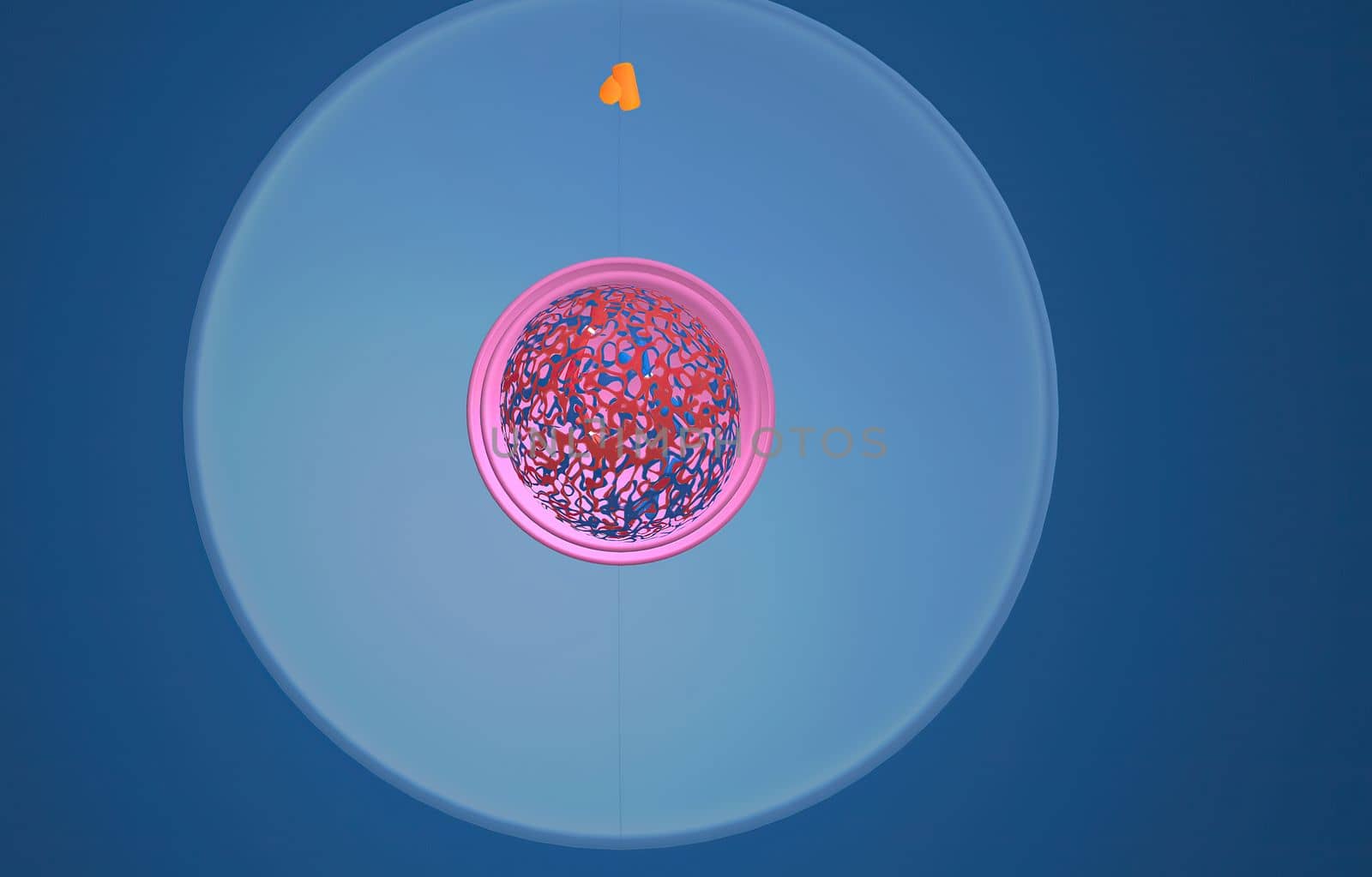 In cell biology, mitosis is a part of the cell cycle in which replicated chromosomes are separated into two new nuclei. 3D illustration by creativepic