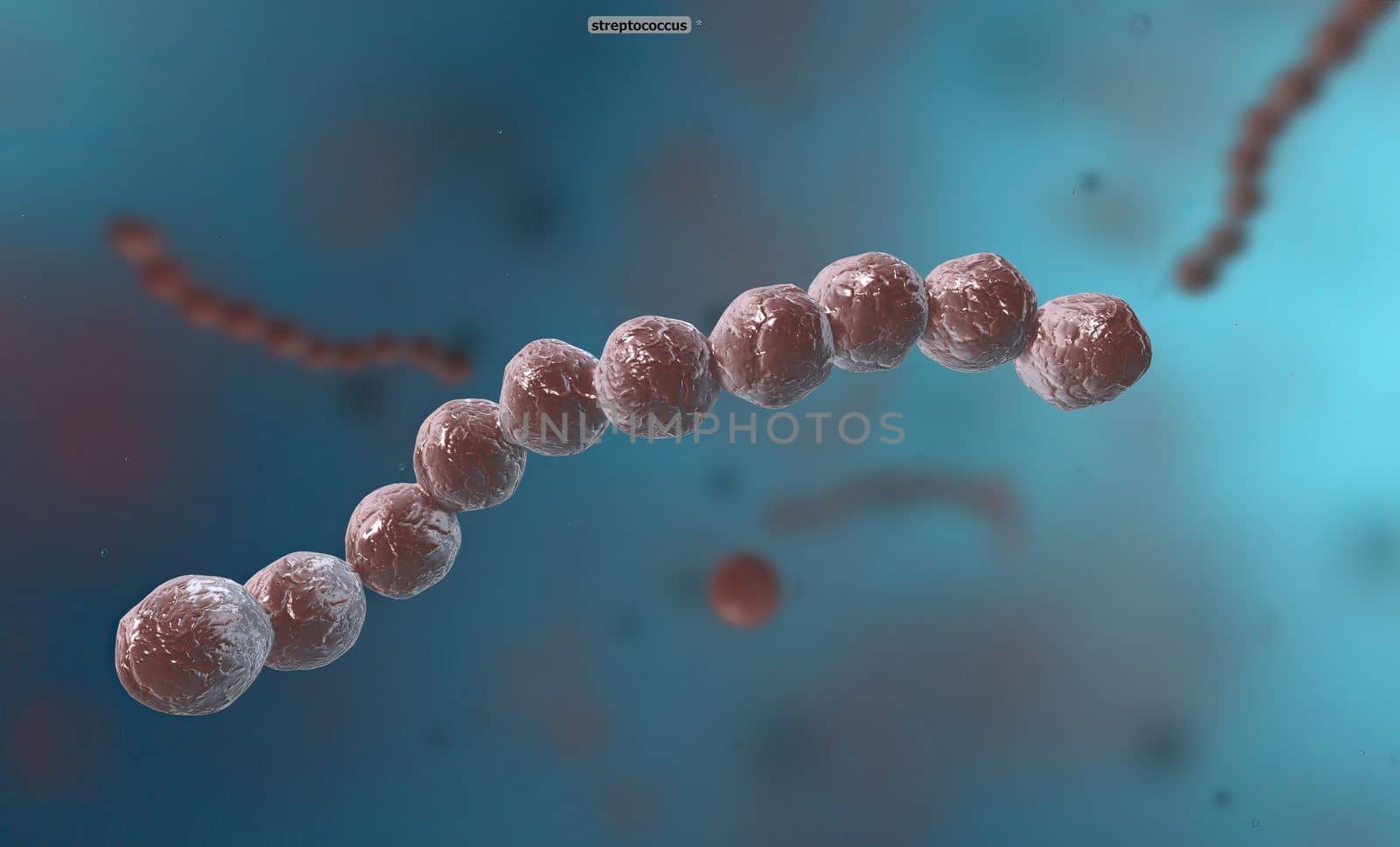 Spirillum is a bacterium from the Proteobacteria phylum with a spiral-shaped cell morphology. by creativepic