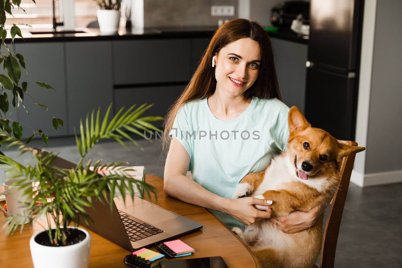 Girl with laptop smile and play with Corgi dog at home. Programmer woman working online and have a break for hug her dog. Having fun with Welsh Corgi Pembroke