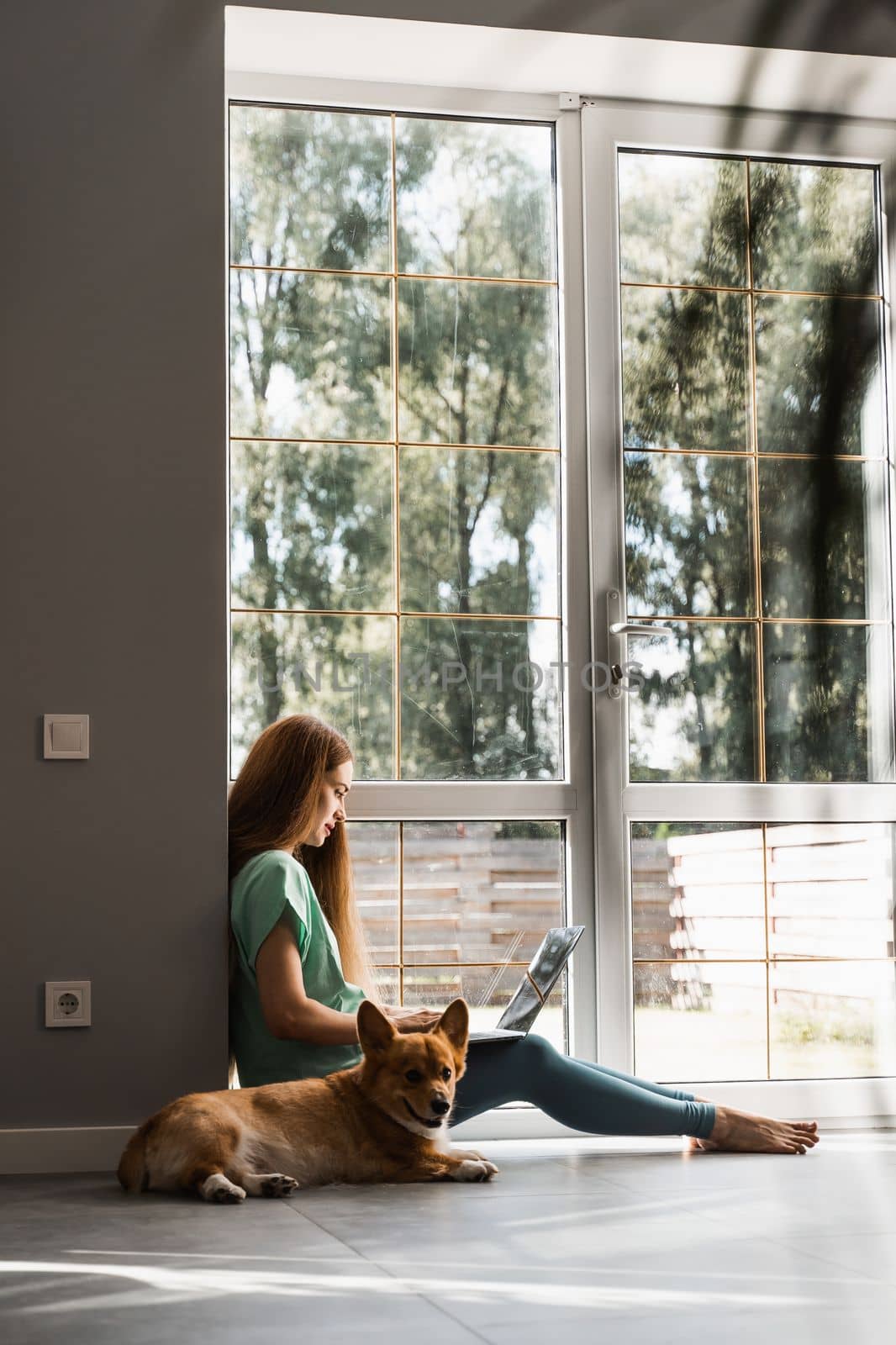 Girl IT specialist with laptop and Corgi dog sitting on the floor and working online. Creative graphic designer girl sit and working on new project. Lifestyle with Welsh Corgi Pembroke. by Rabizo