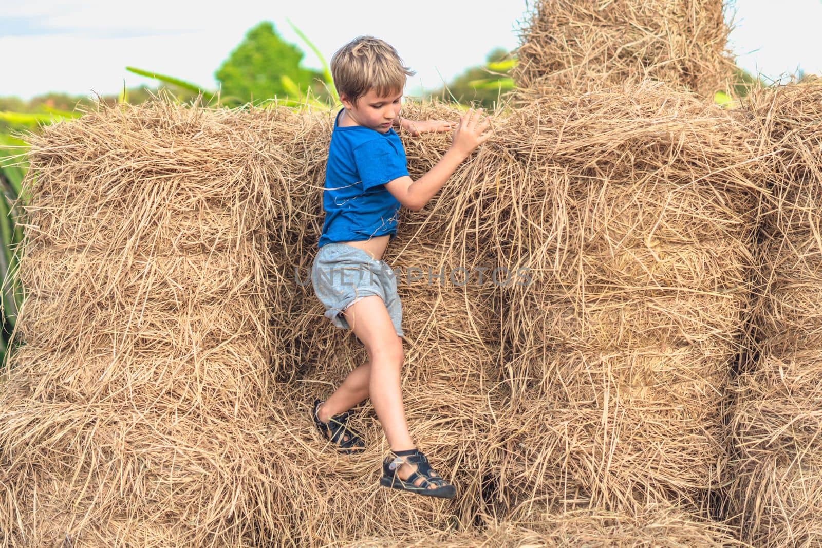 Boy blue t-shirt smile play climbs on down haystack bales of dry hay, clear sky sunny day. Outdoor kid children summer leisure activities. Concept happy childhood countryside, air close to nature.