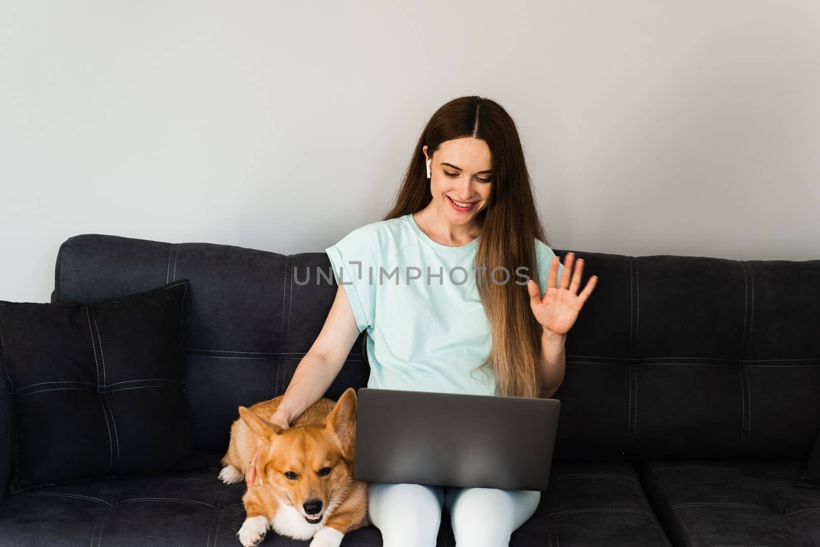 IT specialist girl with laptop and Corgi dog chat online with colleagues, gesticulates and explains creative concept of new project. Teamwork with Welsh Corgi Pembroke at home