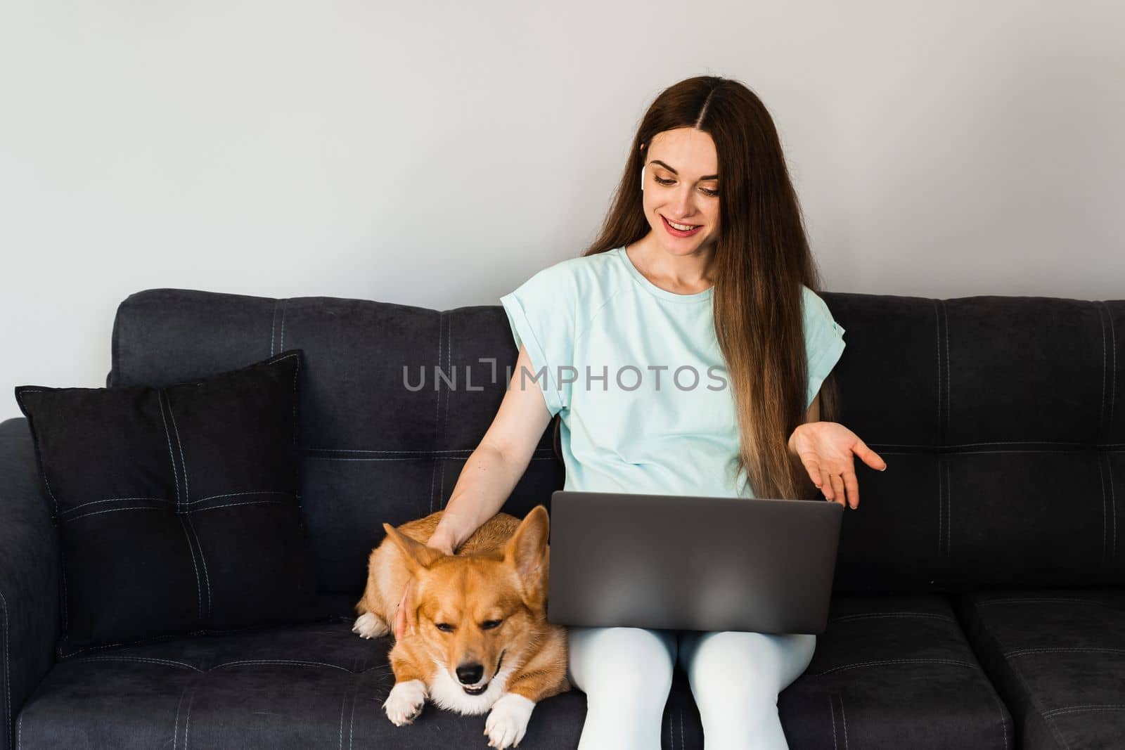 IT specialist girl with laptop and Corgi dog chat online with colleagues, gesticulates and explains creative concept of new project. Teamwork with Welsh Corgi Pembroke at home. by Rabizo
