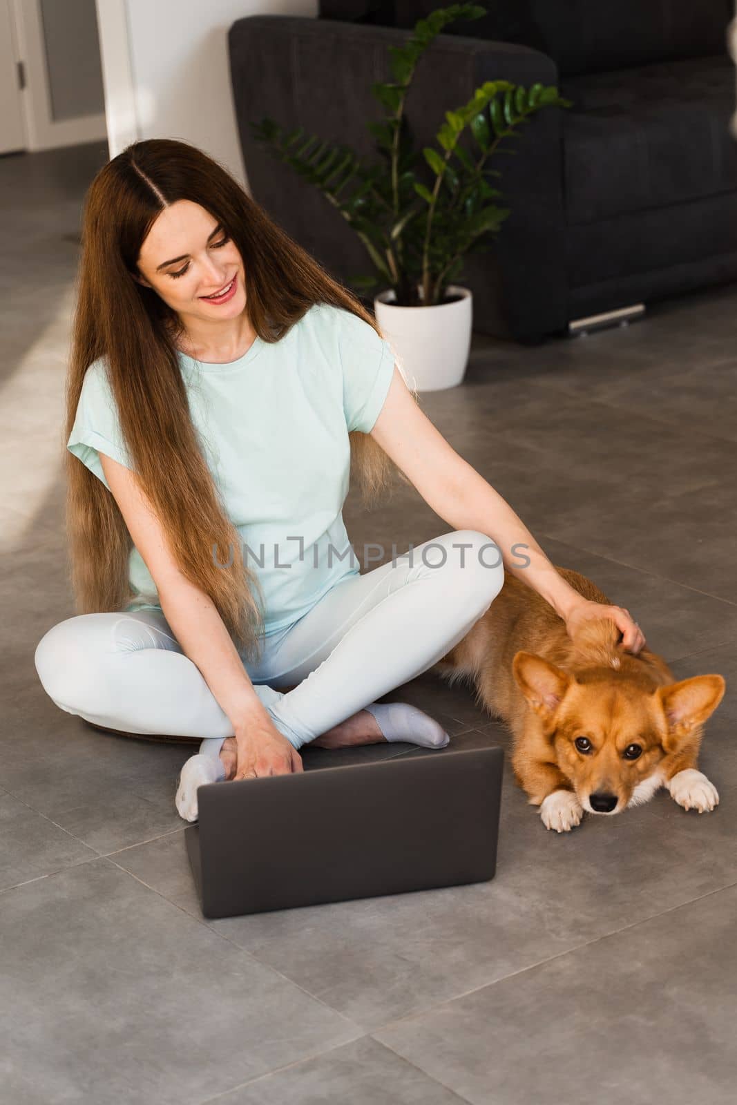 Lifestyle girl and Corgi dog. Girl with laptop petting her Welsh Corgi Pembroke dog at home. Busy young woman have a break and relax with her dog. Lifestyle with domestic pet. by Rabizo