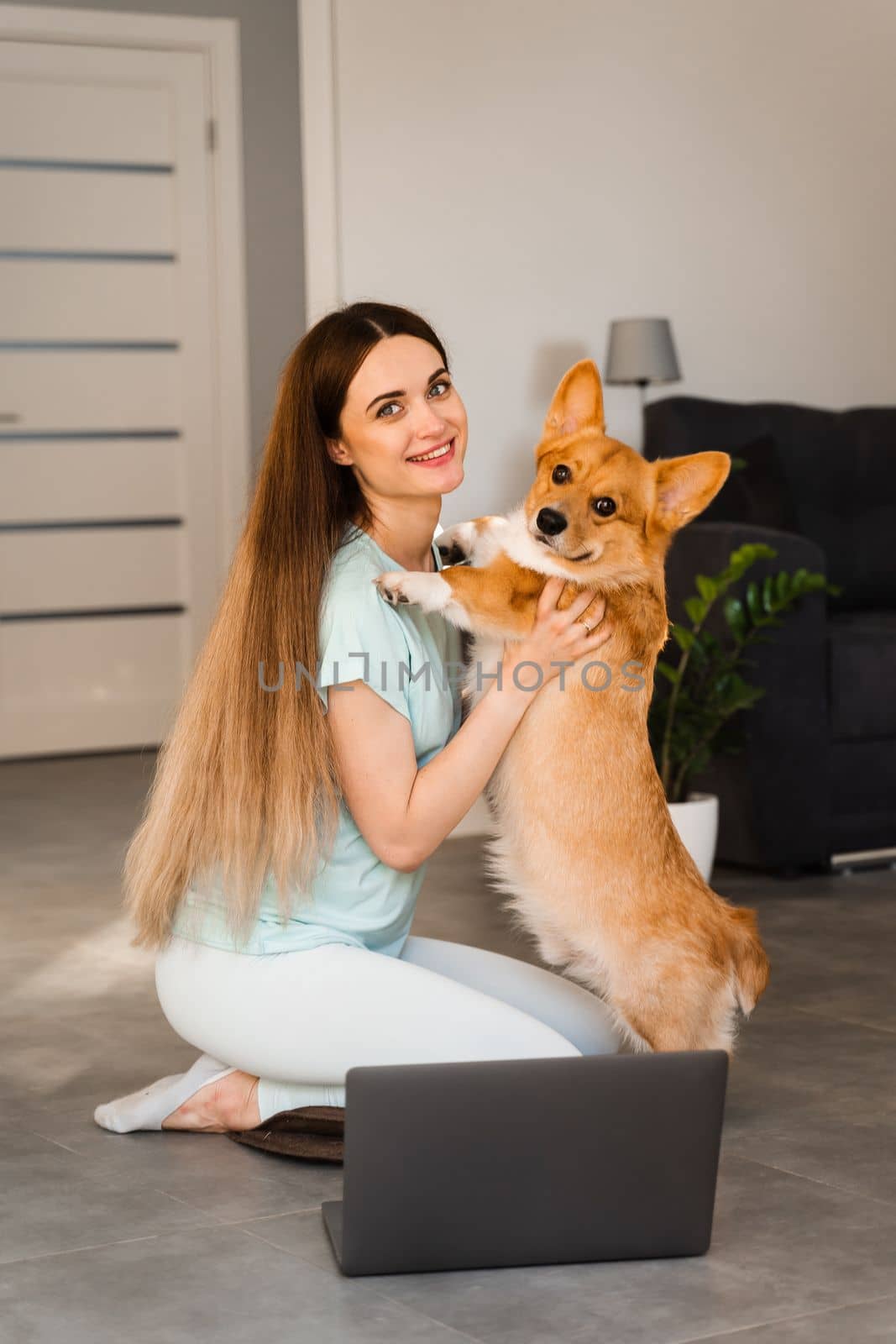 Girl with laptop hug and kiss Welsh Corgi Pembroke dog at home. Young woman have a break and relax with her dog. Lifestyle with domestic pet