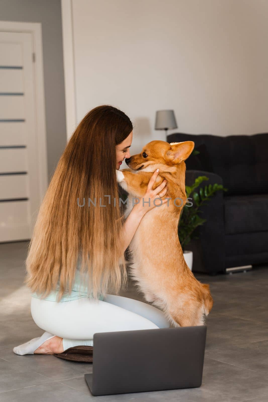 Girl with laptop hug and kiss Welsh Corgi Pembroke dog at home. Young woman have a break and relax with her dog. Lifestyle with domestic pet. by Rabizo