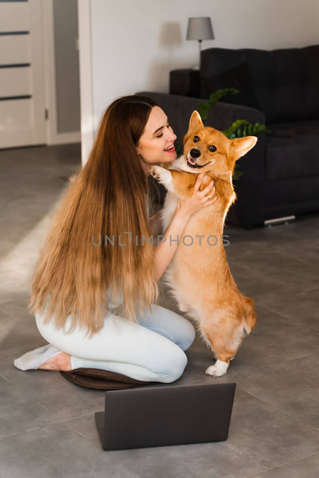 Girl with laptop hug and kiss Welsh Corgi Pembroke dog at home. Young woman have a break and relax with her dog. Lifestyle with domestic pet. by Rabizo