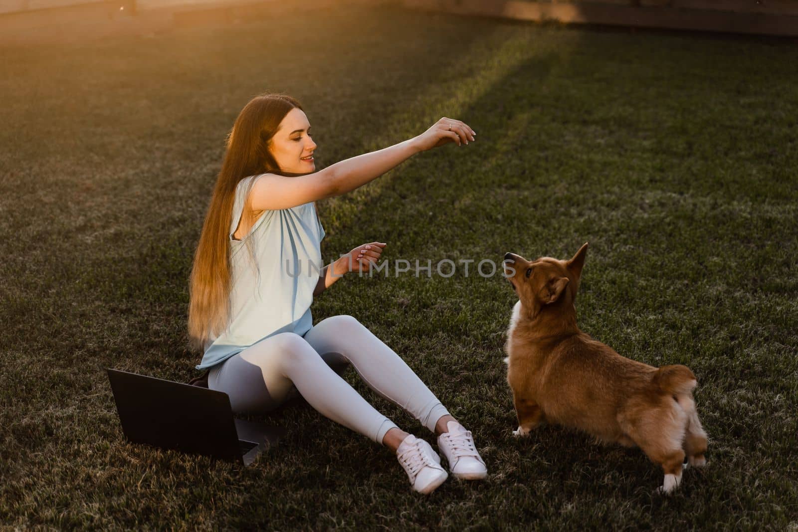 Lifestyle girl and Corgi dog outside. Girl with laptop petting her Welsh Corgi Pembroke dog on the grass. Busy young woman have a break and relax with her dog. Lifestyle with domestic pet. by Rabizo