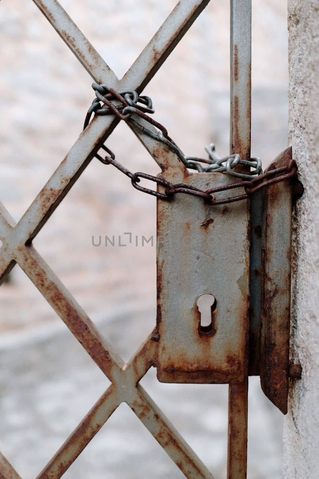 An old rusty garden gate without a lock is secured with a chain against unauthorized opening.