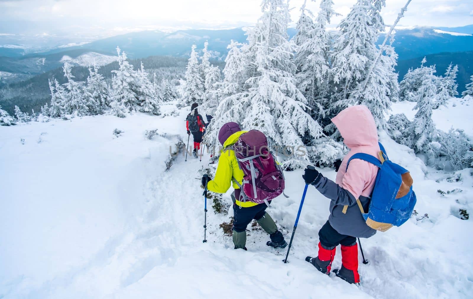 Tourist group in snowy mountains trekking along route