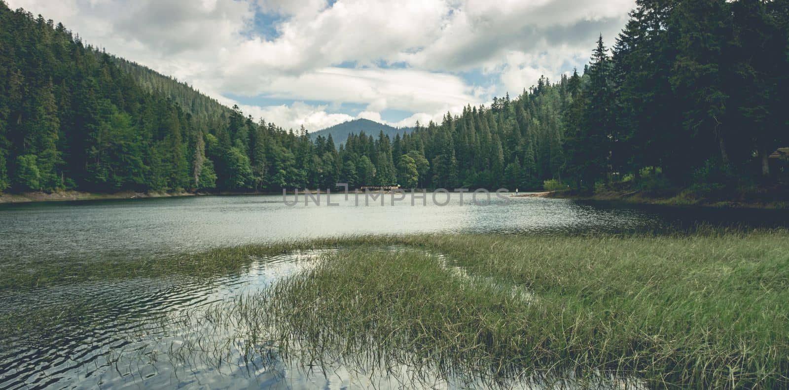 Beautiful lake surrounded by pine forest in the mountains. Wild nature in national park