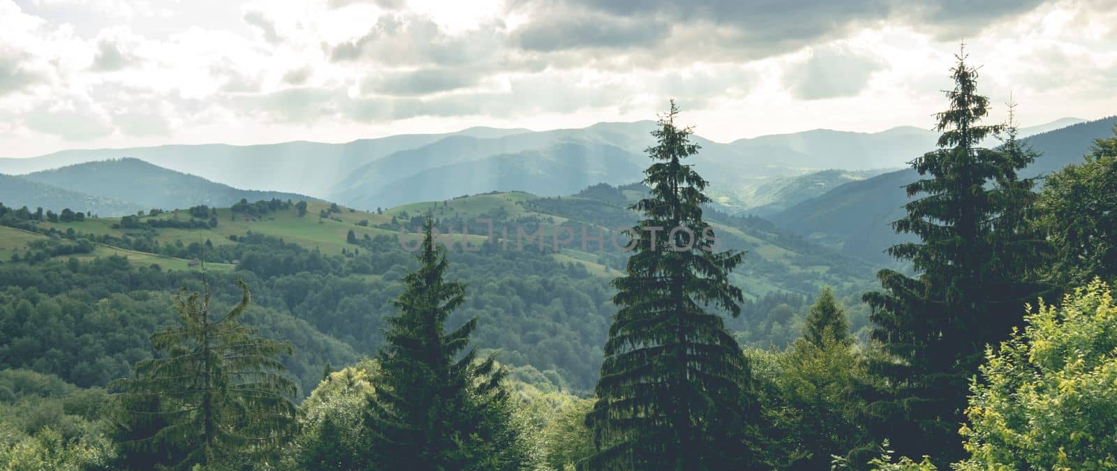 Mountains landscape with forest by GekaSkr