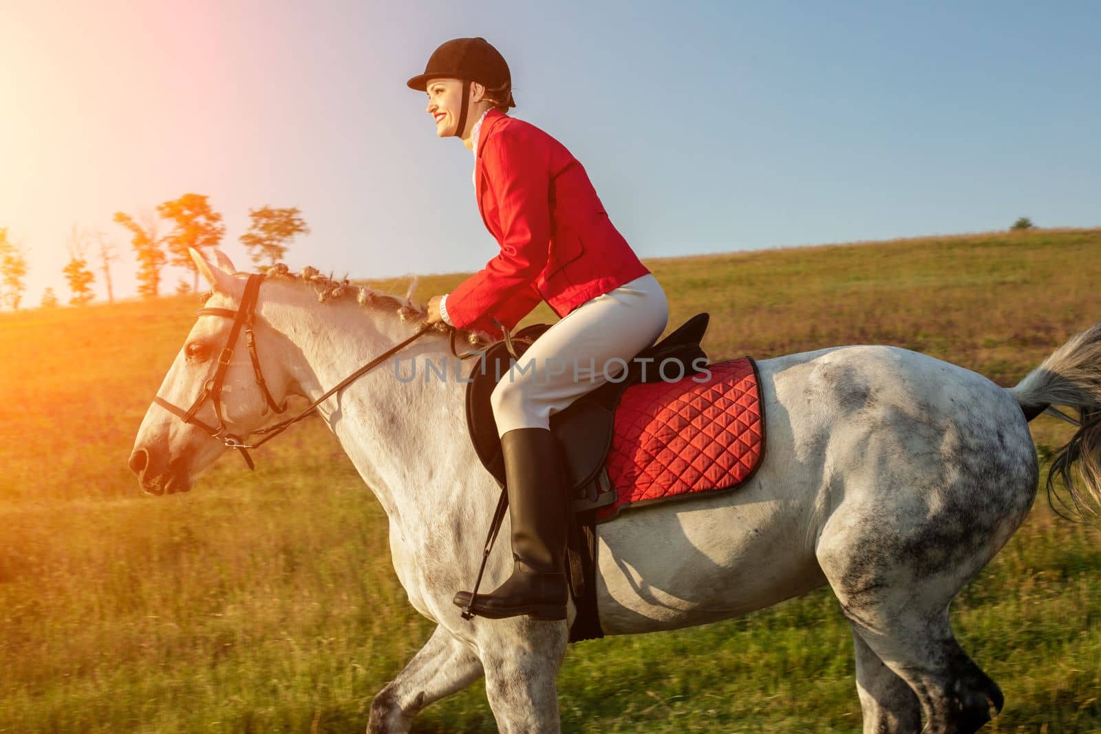 The horsewoman on a red horse. Horse riding. Horse racing. Rider on a horse. by nazarovsergey