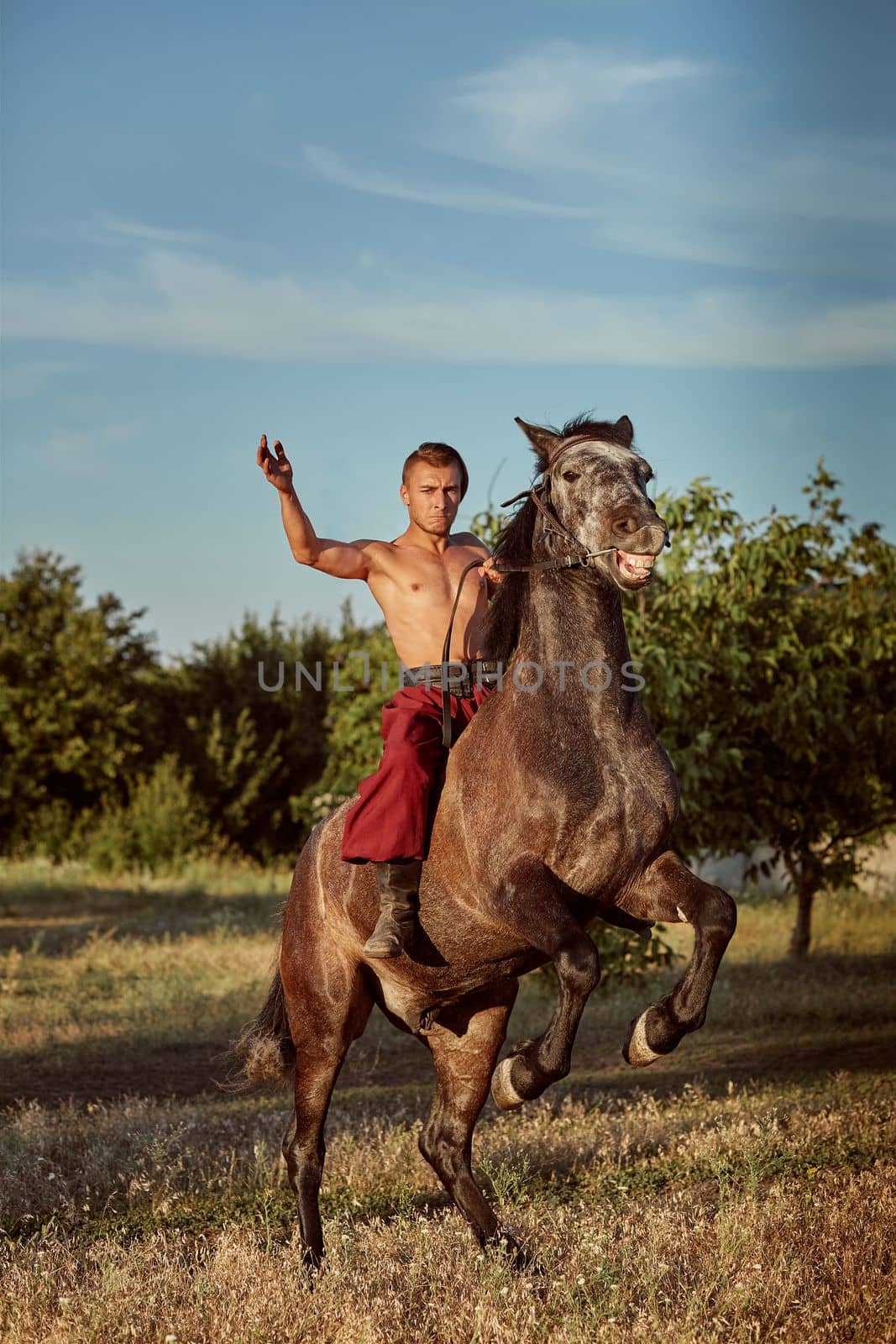 Handsome man cowboy riding on a horse - background of sky and trees by nazarovsergey