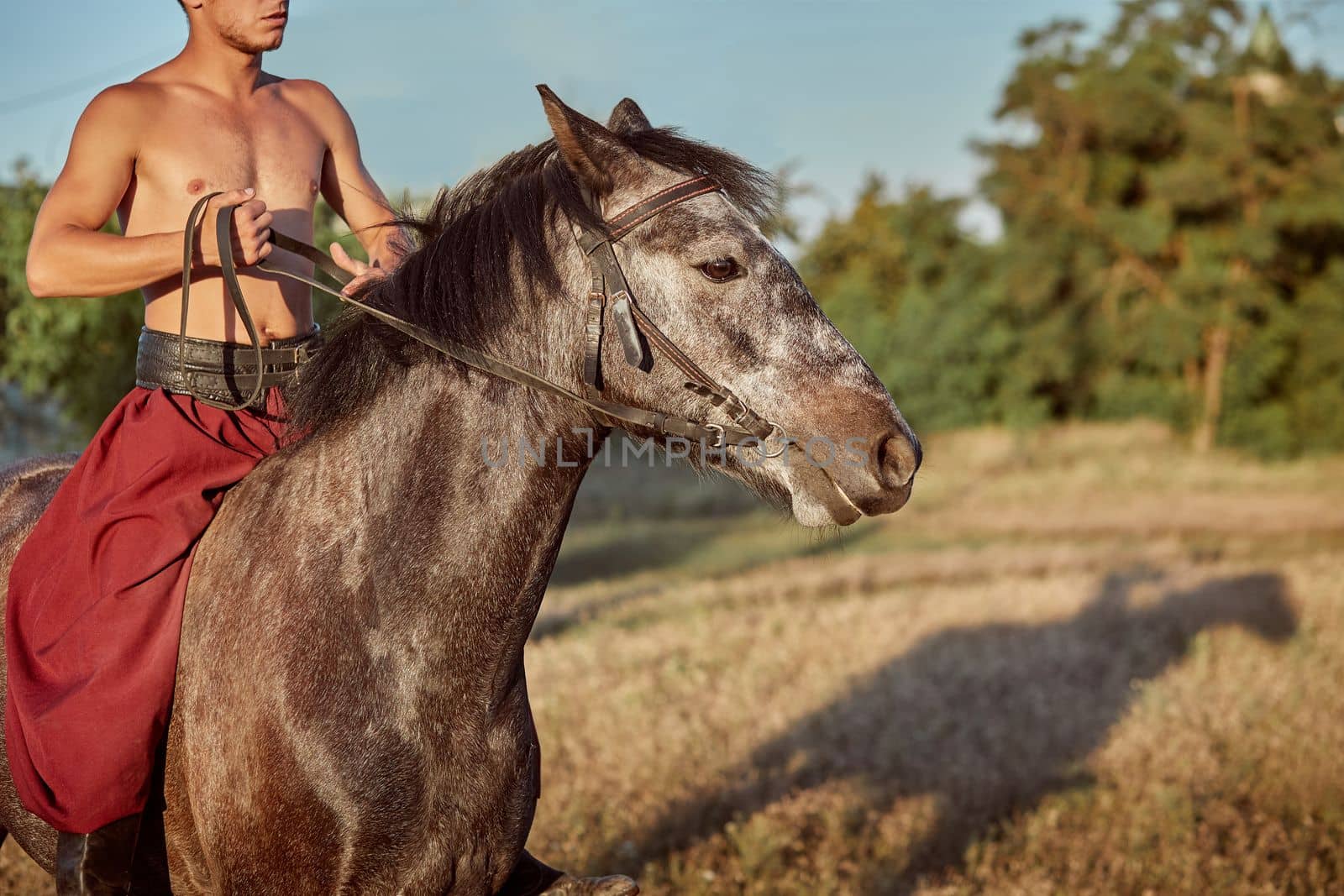 Handsome man cowboy riding on a horse - background of sky and trees. A man in red wide pants without a shirt. Show