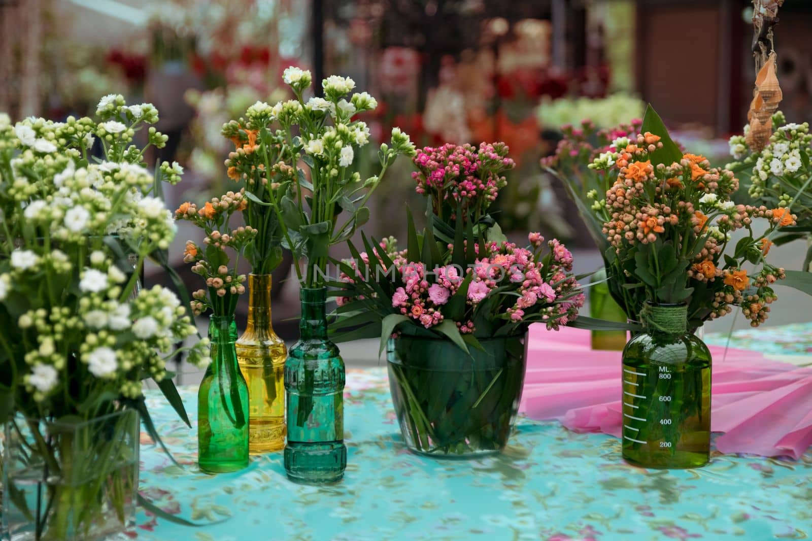 Different types of Kalanchoe in multi-colored glass bottles