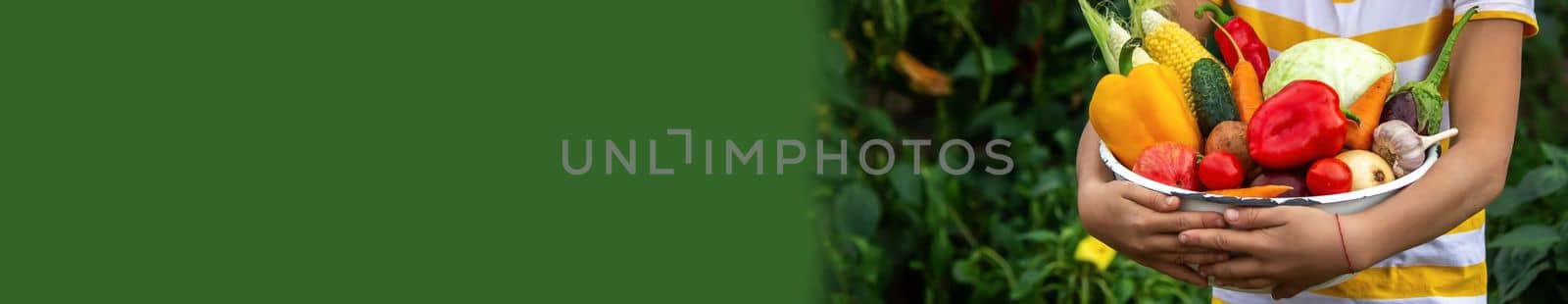 Child and father are holding fresh vegetables in their hands. Selective focus. Kid.