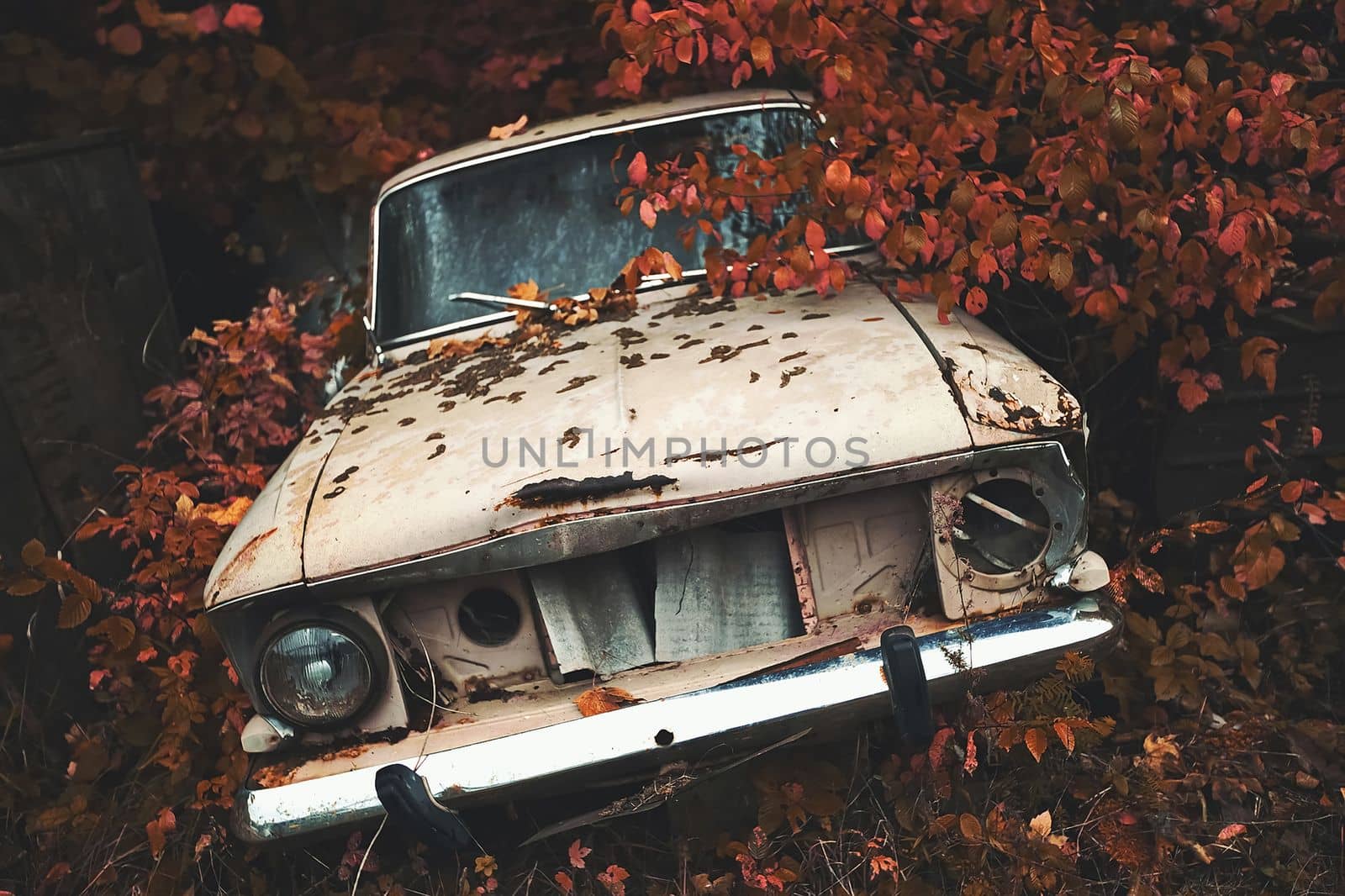 Destroyed car in an abandoned place. Lost place. An abandoned car decays with time. High quality photo. High quality photo