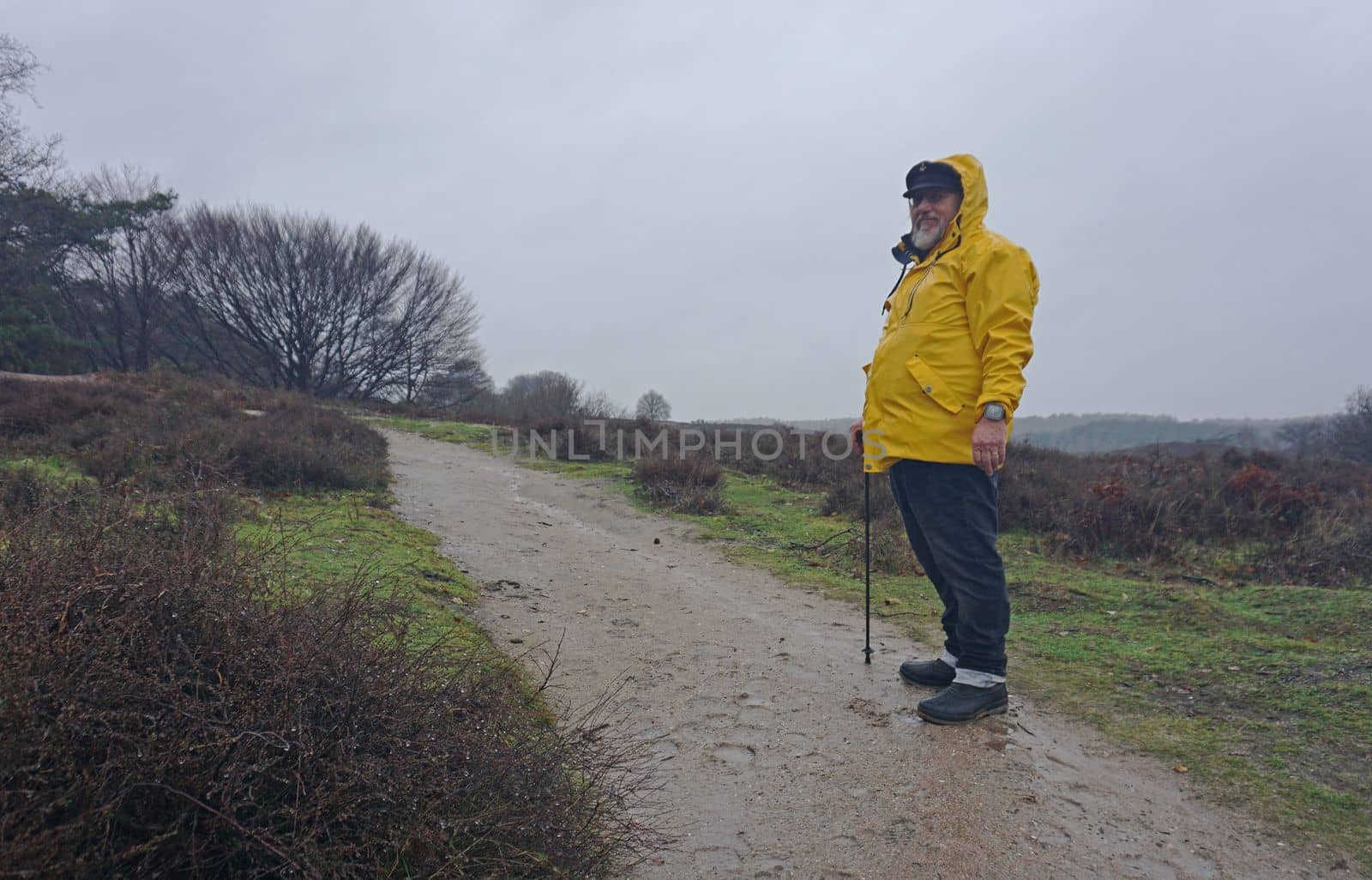 An elderly man walks outside in a moorland on a rainy day. He wears a yellow raincoat over his clothes. The heath area is a well-known one in the Netherlands: the Posbank