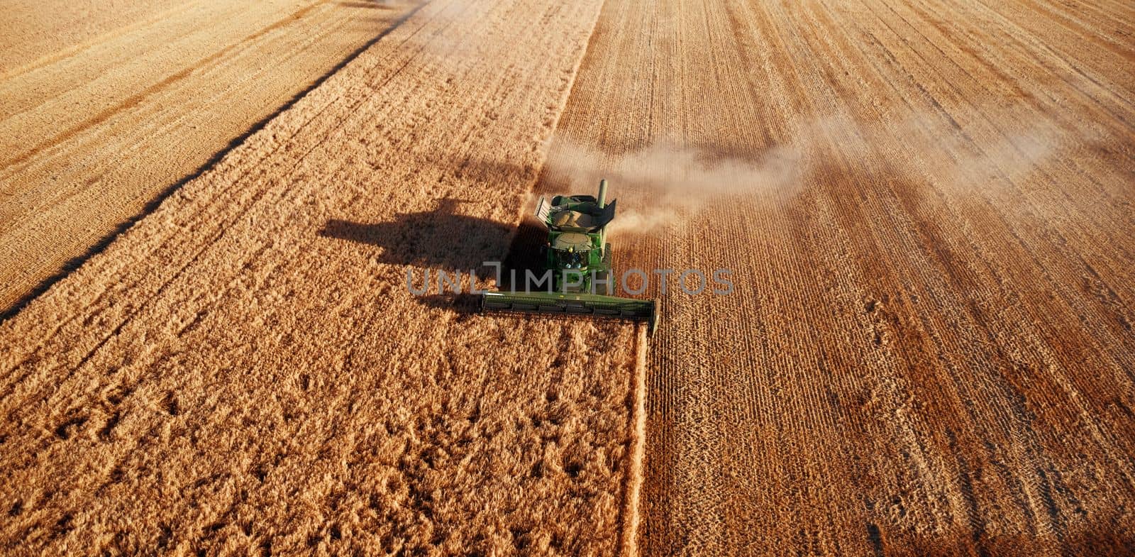 Harvester works in the field. Combine Harvesting Wheat, top view of a wheatfield. Field field of cereals during harvesting.