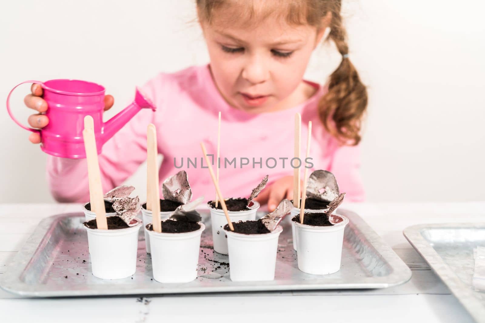 Little girl planting seeds into coffee pods to start an indoor vegetable garden.