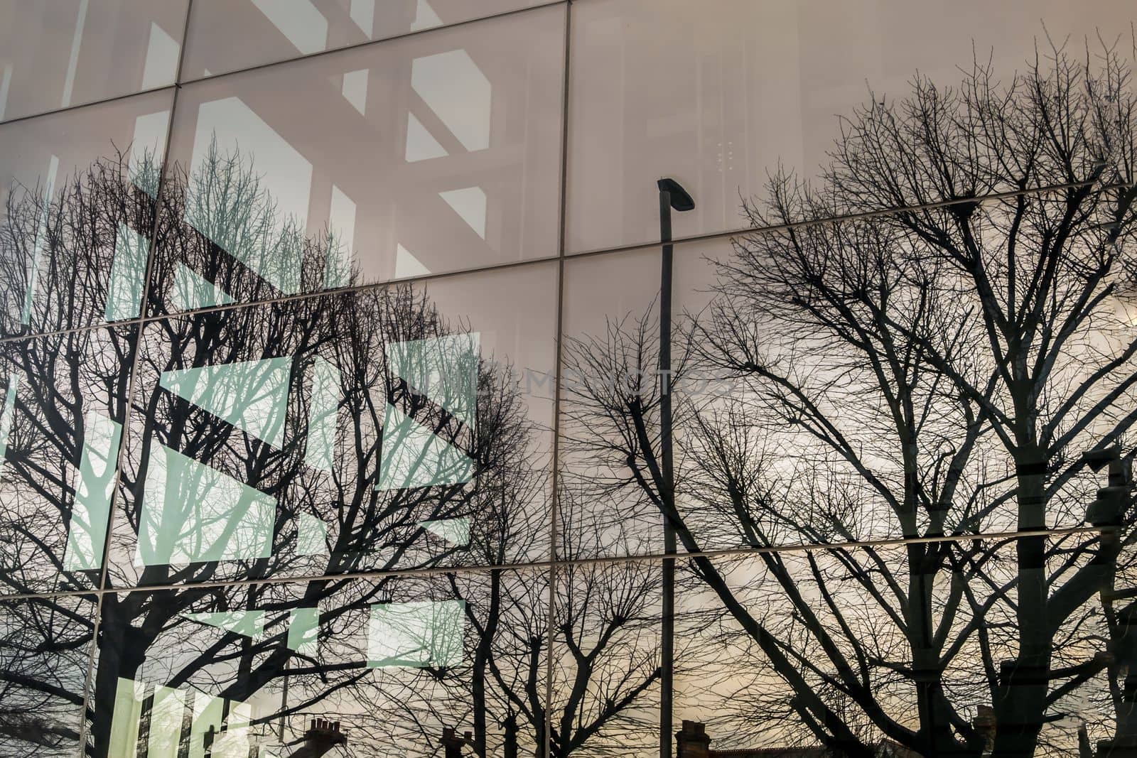 Reflection of Bare tree branches in the windows of a modern building. by tosirikul