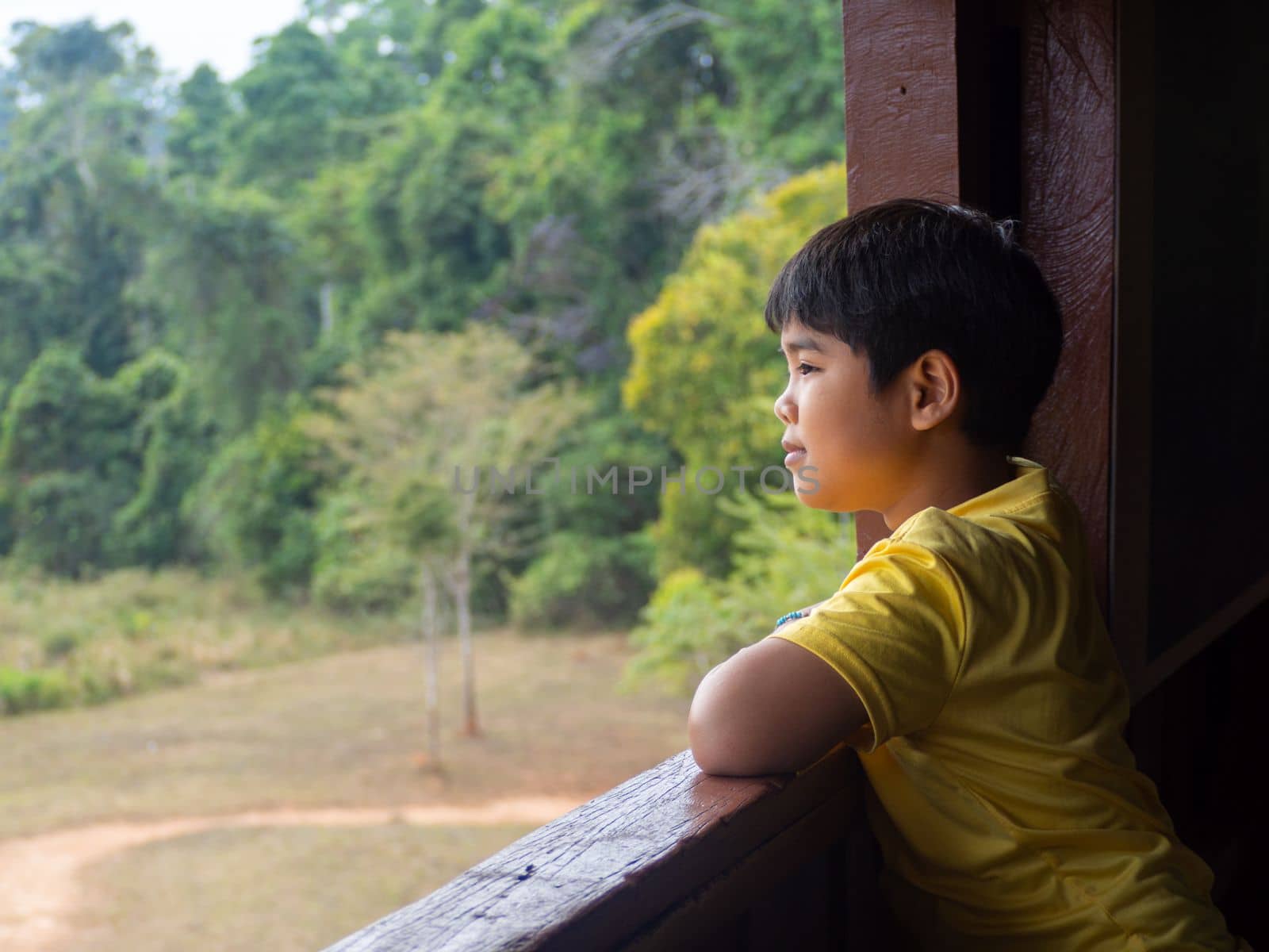 boy looking out window looking at the green forest by Unimages2527