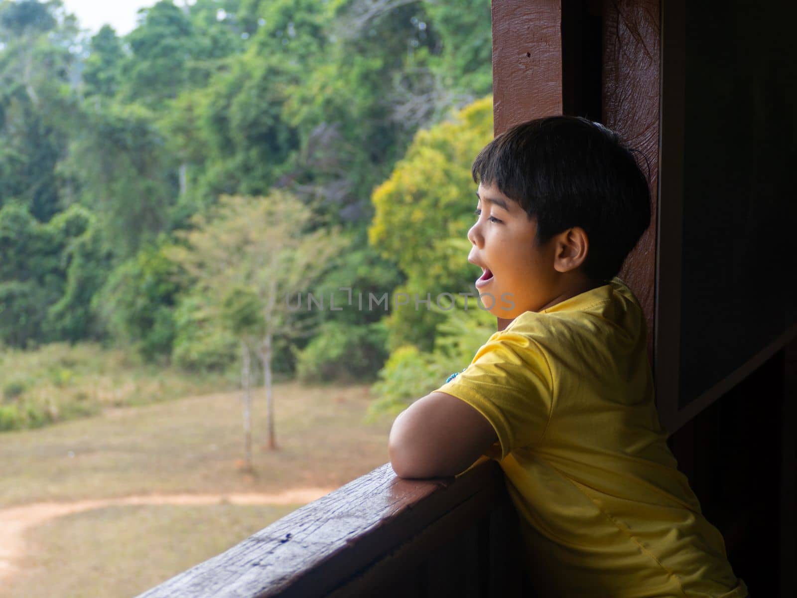 boy looking out window looking at the green forest