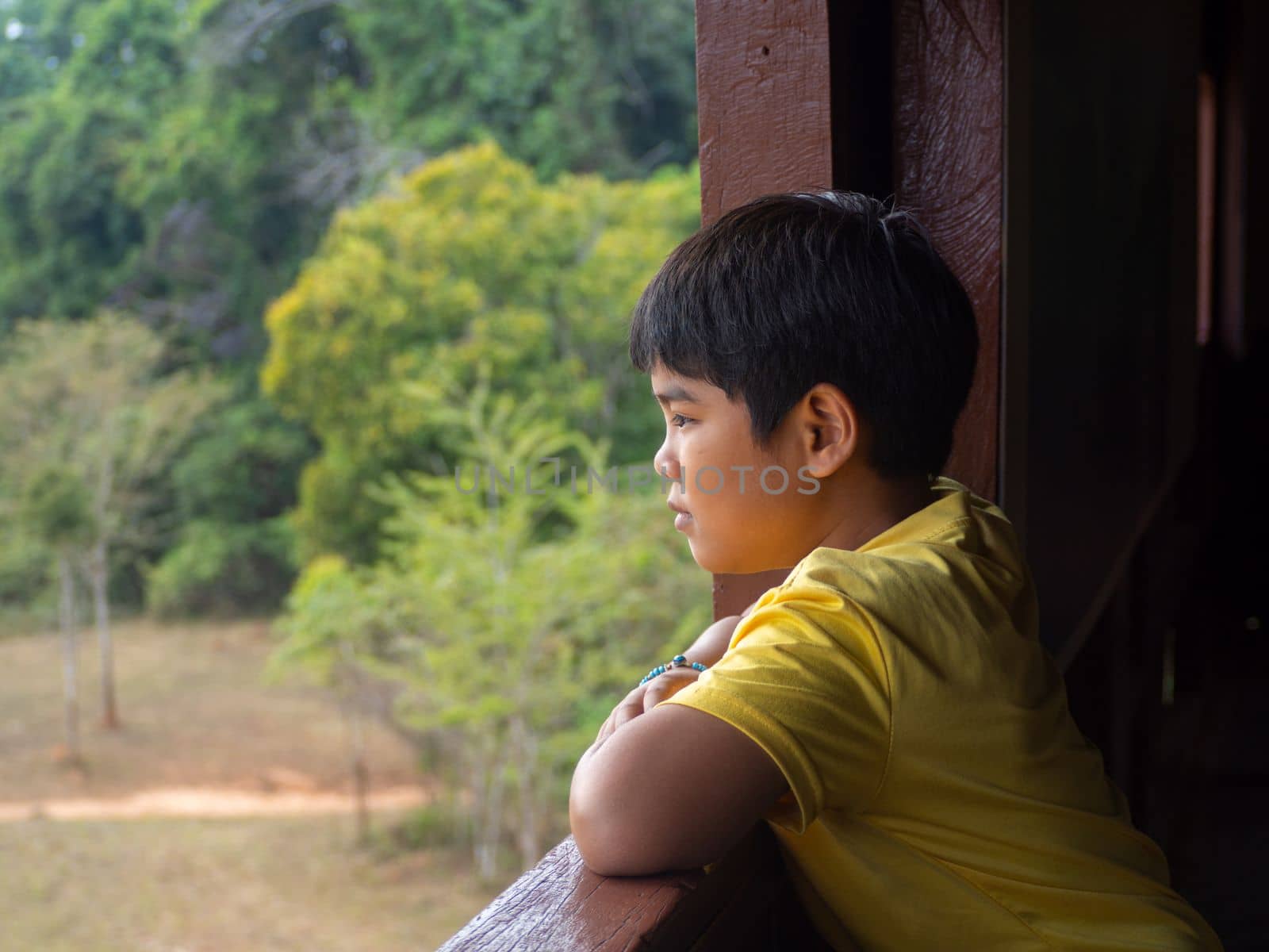 boy looking out window looking at the green forest