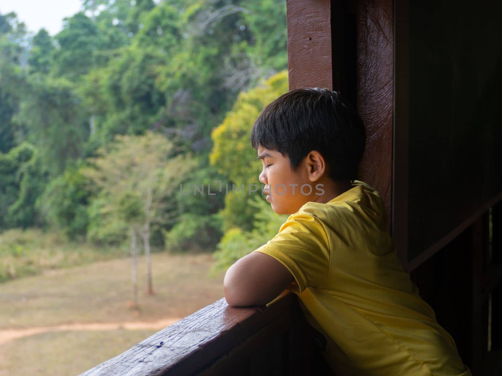 boy looking out window looking at the green forest