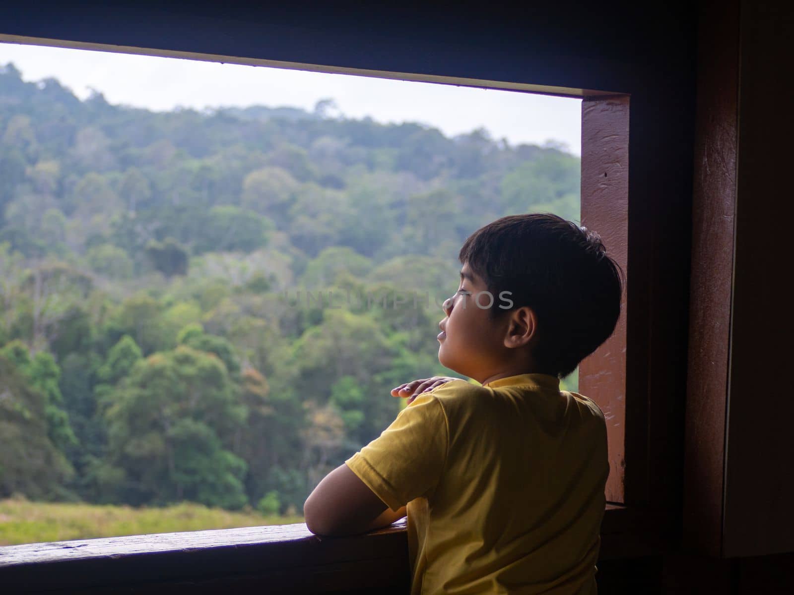 boy looking out window looking at the green forest