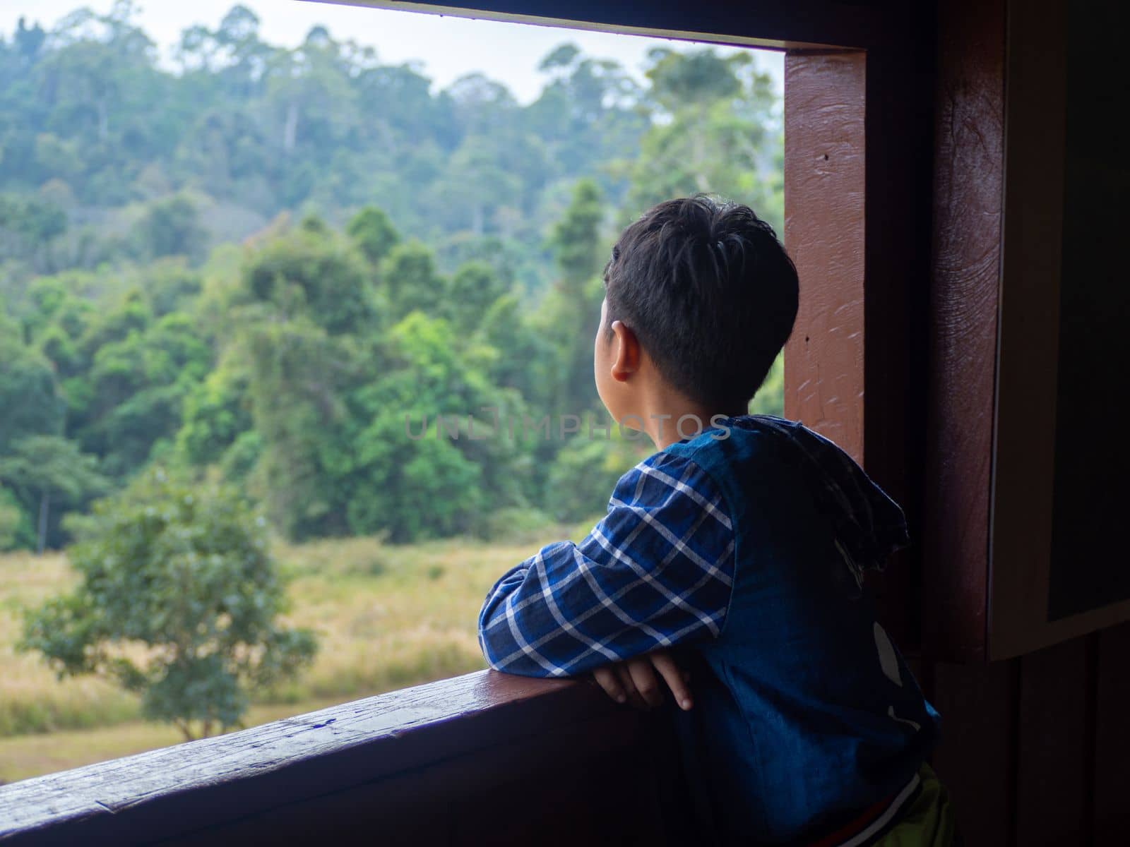 boy looking out window looking at the green forest by Unimages2527