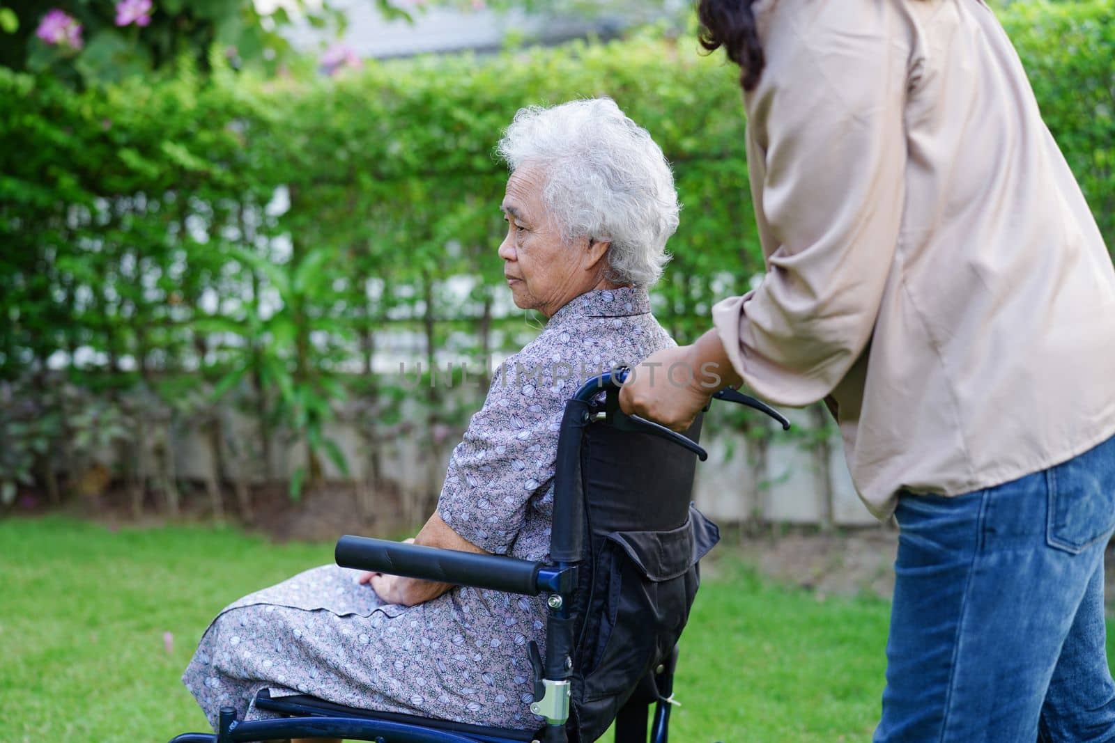 Caregiver help Asian elderly woman disability patient sitting on wheelchair in park, medical concept. by sweettomato