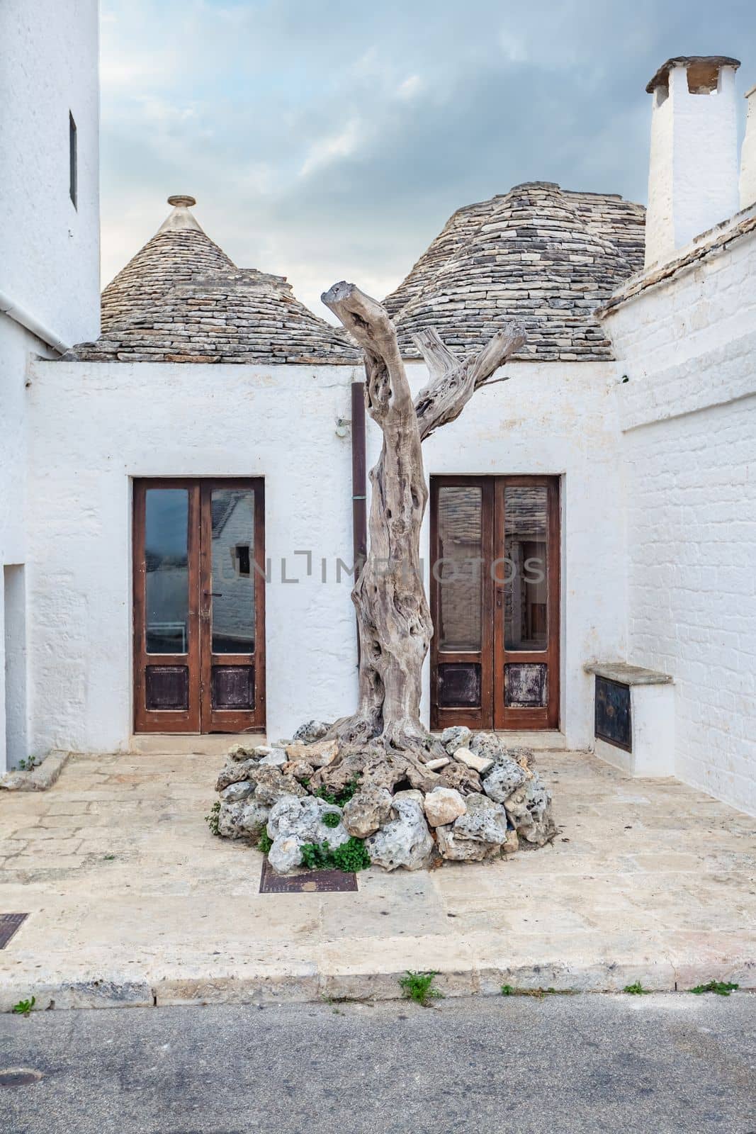 Alluring town of Alberobello with Trulli houses among green plants and flowers, main touristic district, Apulia region, Southern Italy. Typical buildings built with a dry stone walls and conical roofs.