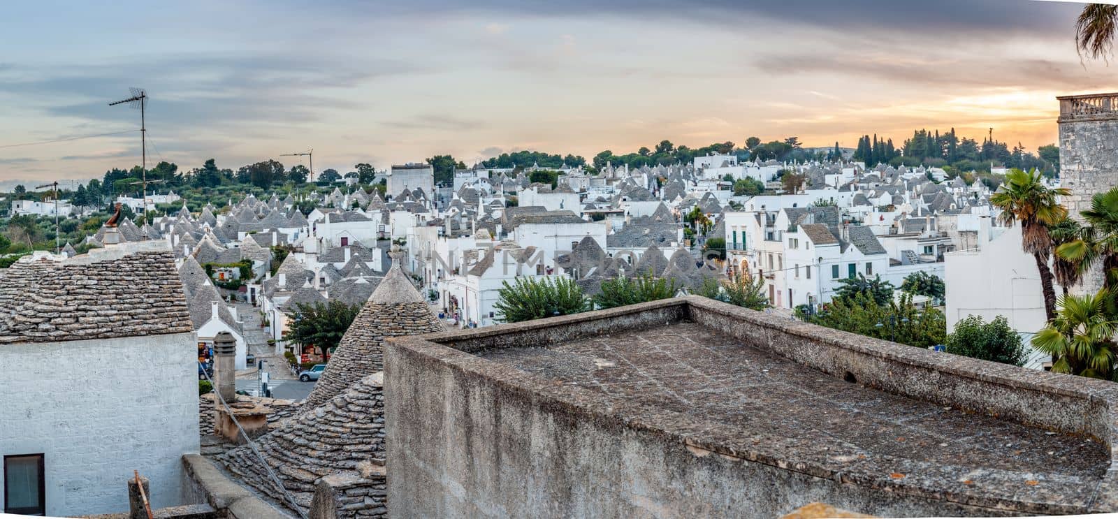 Beautiful town of Alberobello with Trulli houses among green plants and flowers, Apulia region, Southern Italy. by nazarovsergey