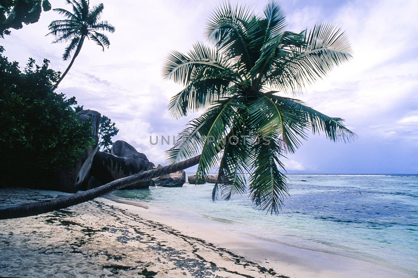 tropical beach with palm trees in Anse Source D'Argent, La Digue island, Seichelles